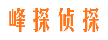 安县市调查公司